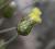 Img.VTax3040.Ex2.Img3