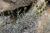 Img.VTax3040.Ex2.Img4