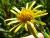 Img.VTax3041.Ex2.Img2
