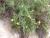 Img.VTax3041.Ex2.Img5