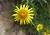 Img.VTax3041.Ex2.Img6