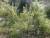Img.VTax3042.Ex1.Img1