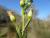 Img.VTax3042.Ex1.Img5