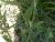 Img.VTax3048.Ex1.Img2