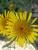 Img.VTax3048.Ex1.Img3