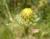 Img.VTax3048.Ex2.Img3