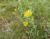 Img.VTax3048.Ex2.Img4