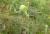 Img.VTax3048.Ex2.Img6