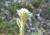 Img.VTax3048.Ex2.Img7