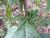 Img.VTax3050.Ex2.Img1