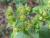 Img.VTax3050.Ex2.Img2