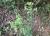 Img.VTax3050.Ex2.Img3