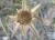 Img.VTax3059.Ex4.Img1