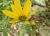 Img.VTax3070.Ex1.Img1