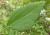 Img.VTax3070.Ex1.Img2