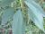 Img.VTax3070.Ex1.Img3