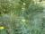 Img.VTax3070.Ex1.Img5