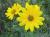 Img.VTax3070.Ex1.Img6