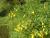 Img.VTax3070.Ex1.Img9