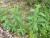 Img.VTax3070.Ex2.Img1