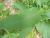Img.VTax3070.Ex2.Img2