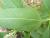 Img.VTax3070.Ex2.Img3