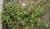 Img.VTax3082.Ex5.Img1