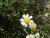 Img.VTax3091.Ex2.Img2