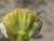 Img.VTax3091.Ex2.Img3