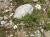 Img.VTax3093.Ex1.Img1