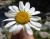 Img.VTax3093.Ex1.Img10