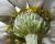 Img.VTax3093.Ex1.Img11