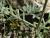 Img.VTax3093.Ex1.Img6