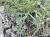 Img.VTax3093.Ex1.Img7