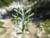 Img.VTax3093.Ex1.Img8