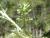 Img.VTax3093.Ex1.Img9