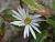 Img.VTax3125.Ex1.Img1