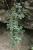 Img.VTax314.Ex3.Img1