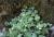 Img.VTax314.Ex4.Img1