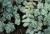 Img.VTax314.Ex4.Img2