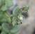 Img.VTax314.Ex6.Img1