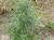 Img.VTax3171.Ex1.Img1