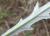 Img.VTax3171.Ex1.Img3