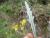 Img.VTax3171.Ex1.Img4