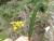 Img.VTax3171.Ex1.Img5