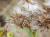 Img.VTax3171.Ex1.Img6
