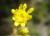 Img.VTax3175.Ex2.Img1