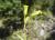 Img.VTax3175.Ex2.Img2