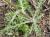 Img.VTax3178.Ex1.Img1