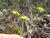 Img.VTax3178.Ex1.Img3